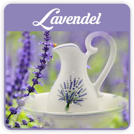 Lavendel