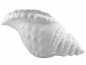 Preview: Muschelschale Giant Clam weiß | Keramik | von Flair