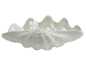 Preview: Muschelschale mit edler Perlmuttglasur | Homeimpressions