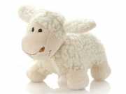Schaf aus Schurwolle stehend - Baby